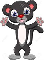 Panther 
